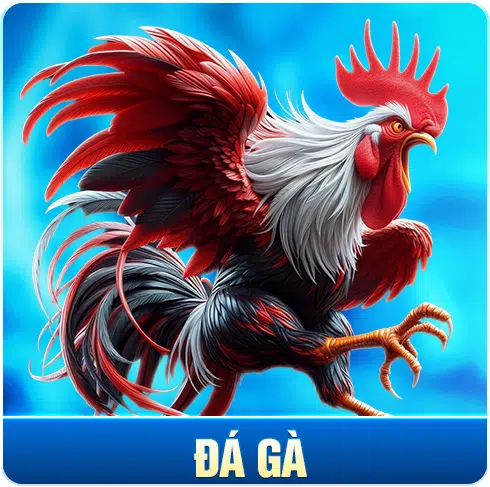 đá gà qh88 dating